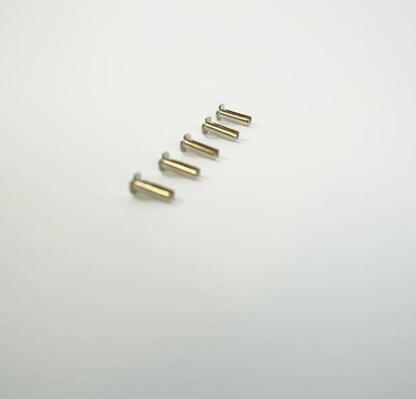 Bifurcated Rivets (for D Ring)