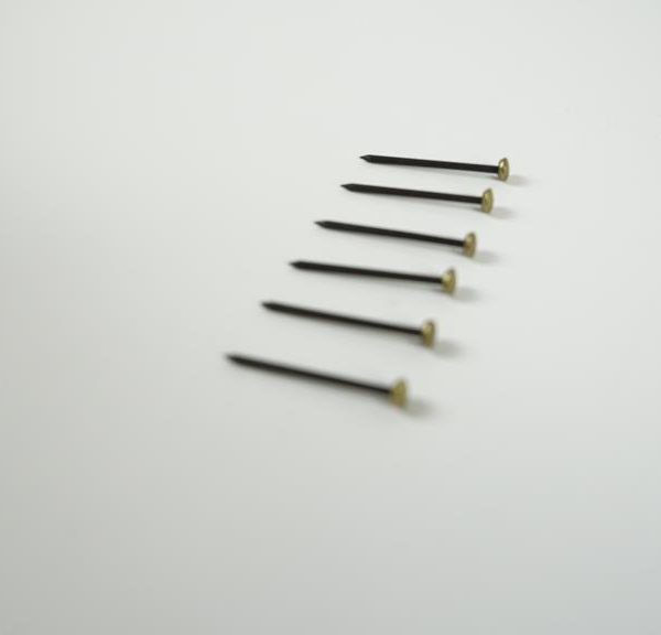 Brass Head, Hardened Steel Picture Pins - 20 pack