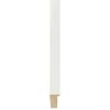 235102000_1.jpg White 20mm - Flat - Paint