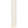 Ivory - 43mm - Scoop - Foil