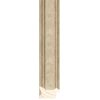 292201640_1.jpg Champagne - 43mm - Scoop - Foil
