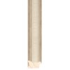 292201686_1.jpg Champagne/Ivory - 43mm - Scoop - Foil