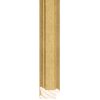 292201740_1.jpg Gold - 43mm - Scoop - Foil