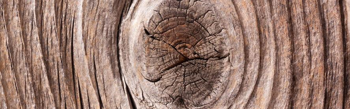 Knots in wood
